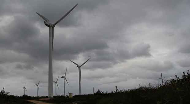 Las paletas gigantes giran, giran y giran todo el año, pocas veces se detienen. Foto: KMLV/OnCuba