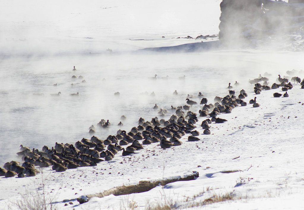 Una vista de la orilla del Río Des Moines en Iowa, en medio de una intensa ola de frío, el primero de enero de 2018. Foto: Matt Milner / The Ottumwa Courier via AP.