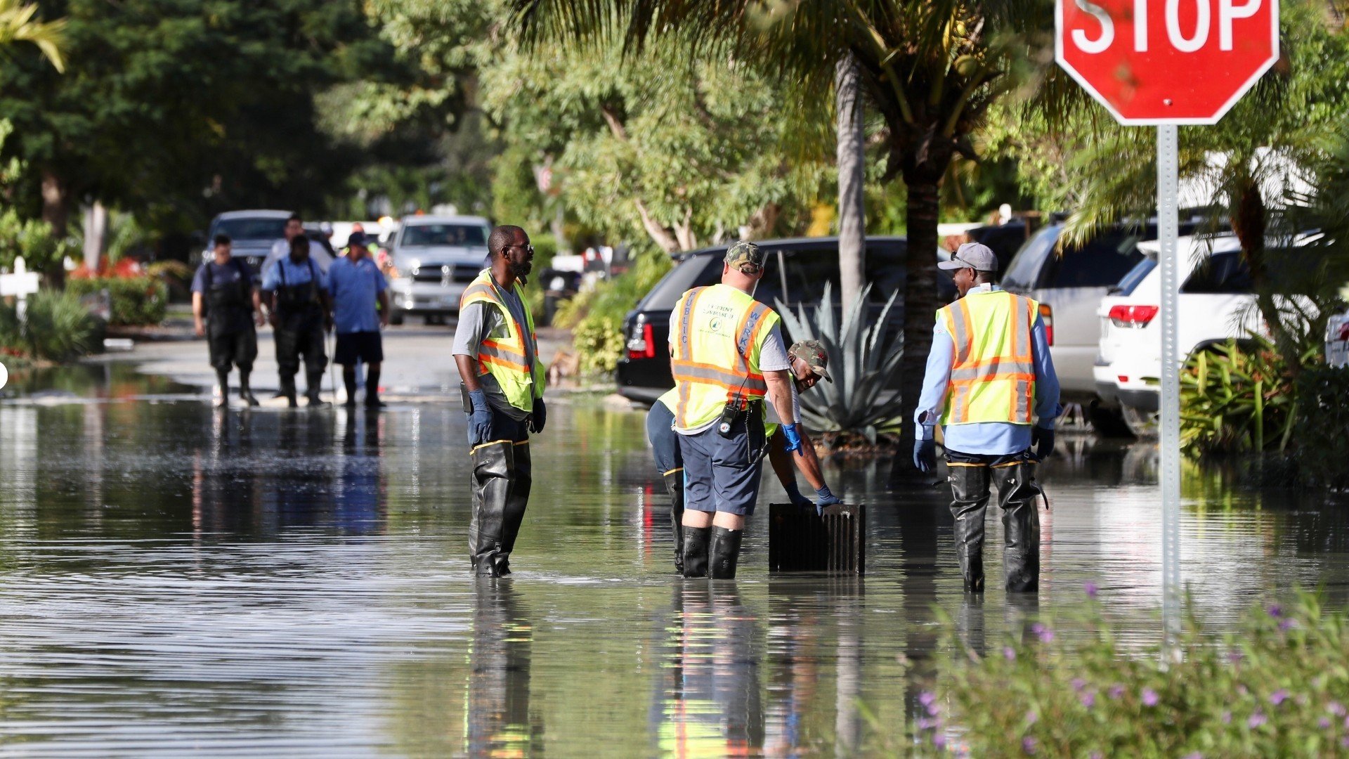 Foto: Sun Sentinel.