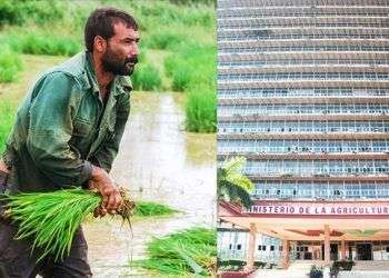 Agricultura en Cuba