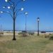 "Tree of light", Rafael Villares, Cuba