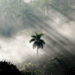 Santa Cruz Canyon, Pinar del Río, Cuba. Photo: Amilcar Pérez Riverol