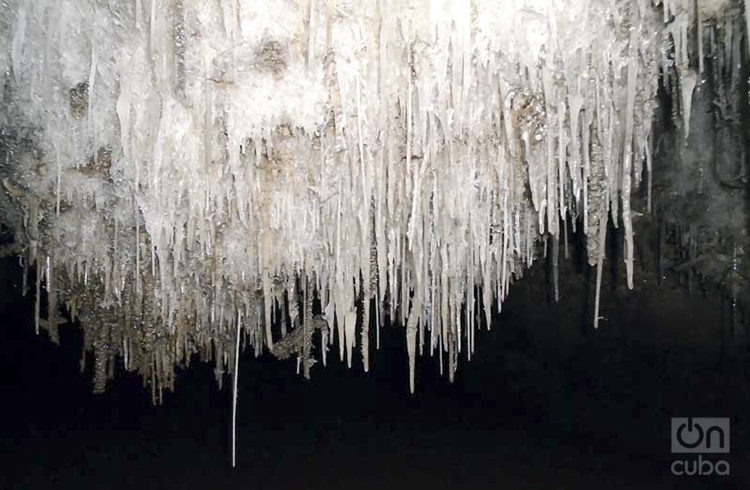 Cave in Pinar del Río / Photo: Ronald Suárez Rivas