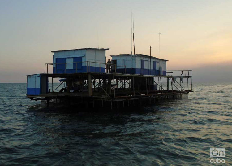 Lobster fishing. Photo: Ronald Suárez.