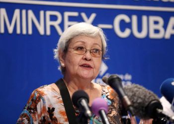 UN expert Virginia Dandan during the press conference prior to her leaving Cuba. Photo: Reuters.
