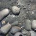 Clay pitchers and other articles from the Spanish San José galleon, which was sunk 300 years ago along the coast of Colombia. Photo: Woods Hole Oceanographic Institution via AP.