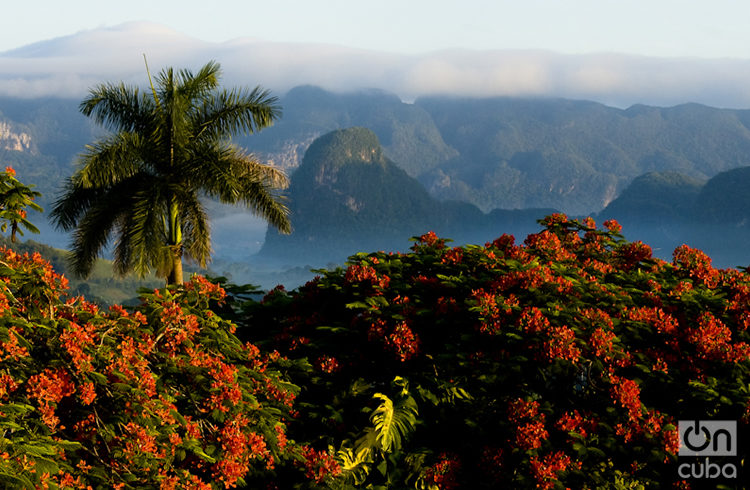 Nature is one of Viñales great values. Photo: Guillermo Seijo.