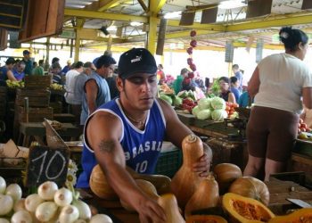 Market on 19 and B, in the Vedado neighborhood, Havana. Photo: mapio.net