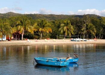 January 16, 2020 photo showing two pelicans perched on two boats, in Villa Guajimico, in Cienfuegos. EFE/Yander Zamora.