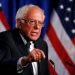 Bernie Sanders. Photo: Patrick Semansky/AP