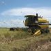 Rice harvest in Cuba. Photo: Granma/Archive.