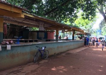 Agricultural market in Santiago de las Vegas. Photo taken by the author, August 23, 2020.