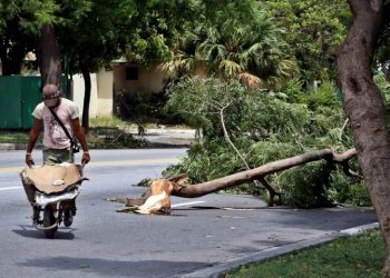 A man walks by a fallen tree after Tropical Storm Laura in Havana, on Tuesday, August 25, 2020. Photo: Ernesto Mastrascusa/EFE.