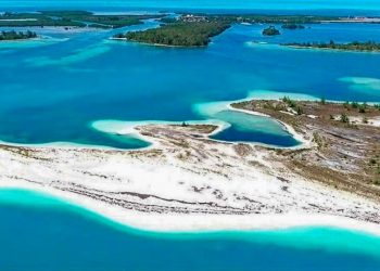 The microbiology and laboratory specialists who will work at the Cayo Largo facility received training in laboratory processes and biosafety protocols for a month, precisely at the IPK. Photo: acn.cu