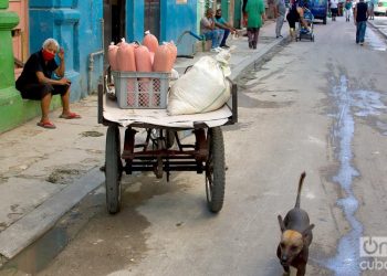 The pandemic has affected economies and aggravated the already existing crises, as in the case of Cuba, where the cyclical shortage in state stores keeps its inhabitants constantly on the hunt for essential items. Photo: Otmaro Rodríguez