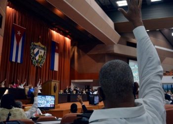 The Cuban National Assembly approved four new laws in its regular session on October 28, 2020. Photo: @anamarianpp/Twitter.