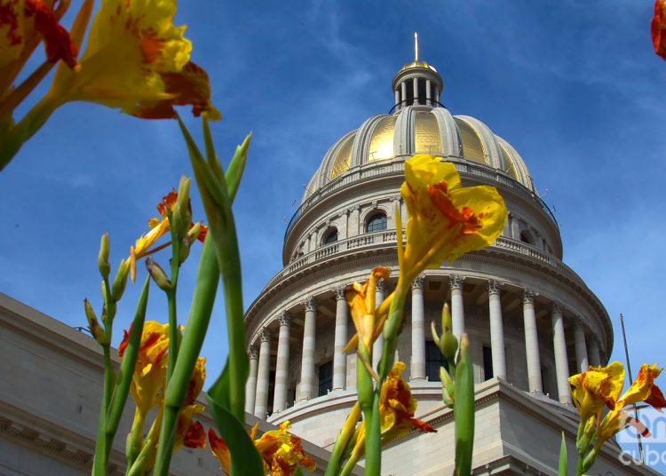 Gardens of the National Capitol, in Havana. Photo: Otmaro Rodríguez.