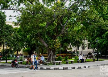 Plaza Cadenas at the University of Havana. Photo: Otmaro Rodríguez/Archive.