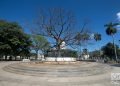 The ceiba tree in the Parque de la Fraternidad, in Havana. Photo: Otmaro Rodríguez.