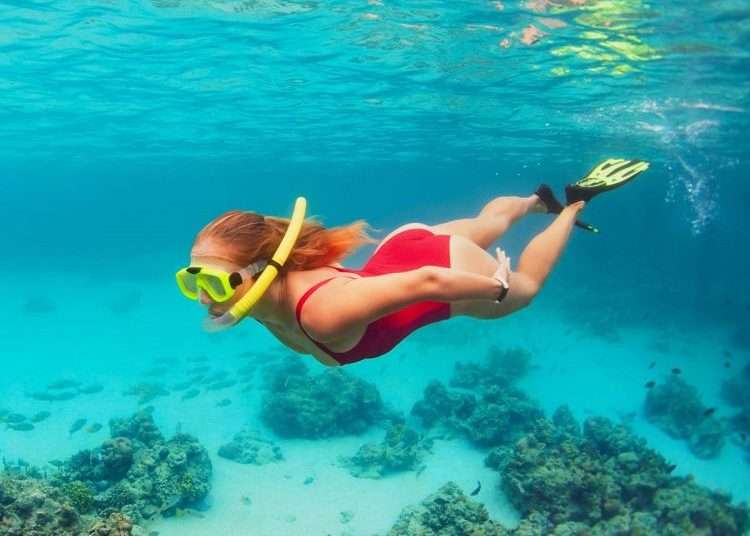 A swimmer snorkeling. Photo: nationaltoday.com/Archive.