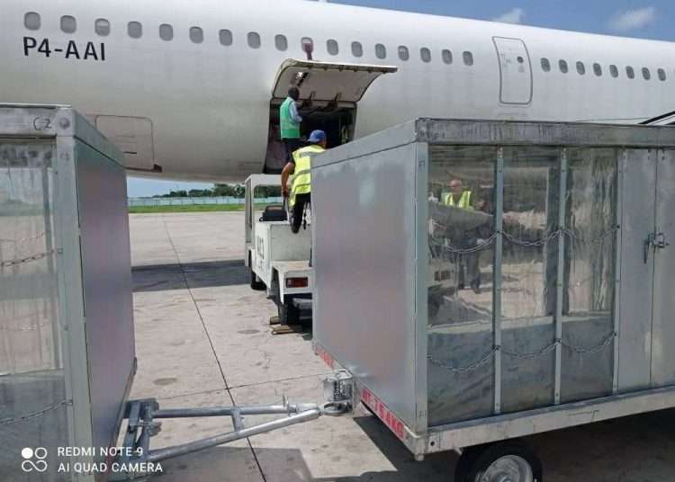 The general director of Aerovaradero, Mayelin Gotera, told PL that this type of contract allows them to expand their client portfolio, based on the approval of the door-to-door delivery of packages for family cargo, particularly those from the United States, with significant growth in recent years. Photo: Aerovaradero/Facebook.