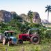 Cuba’s agricultural model. Cuban tractors in the field.