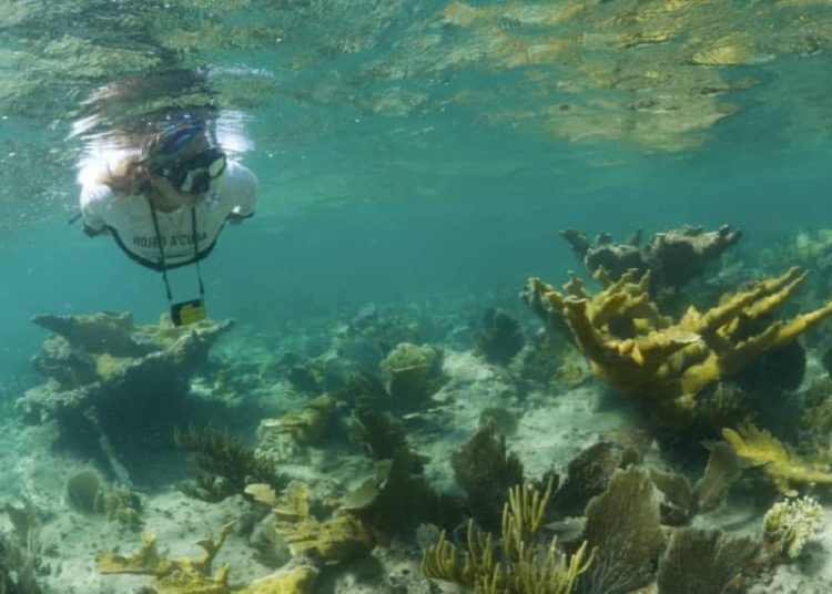 Scientists during the expedition. Photo: Naturaleza Secreta.