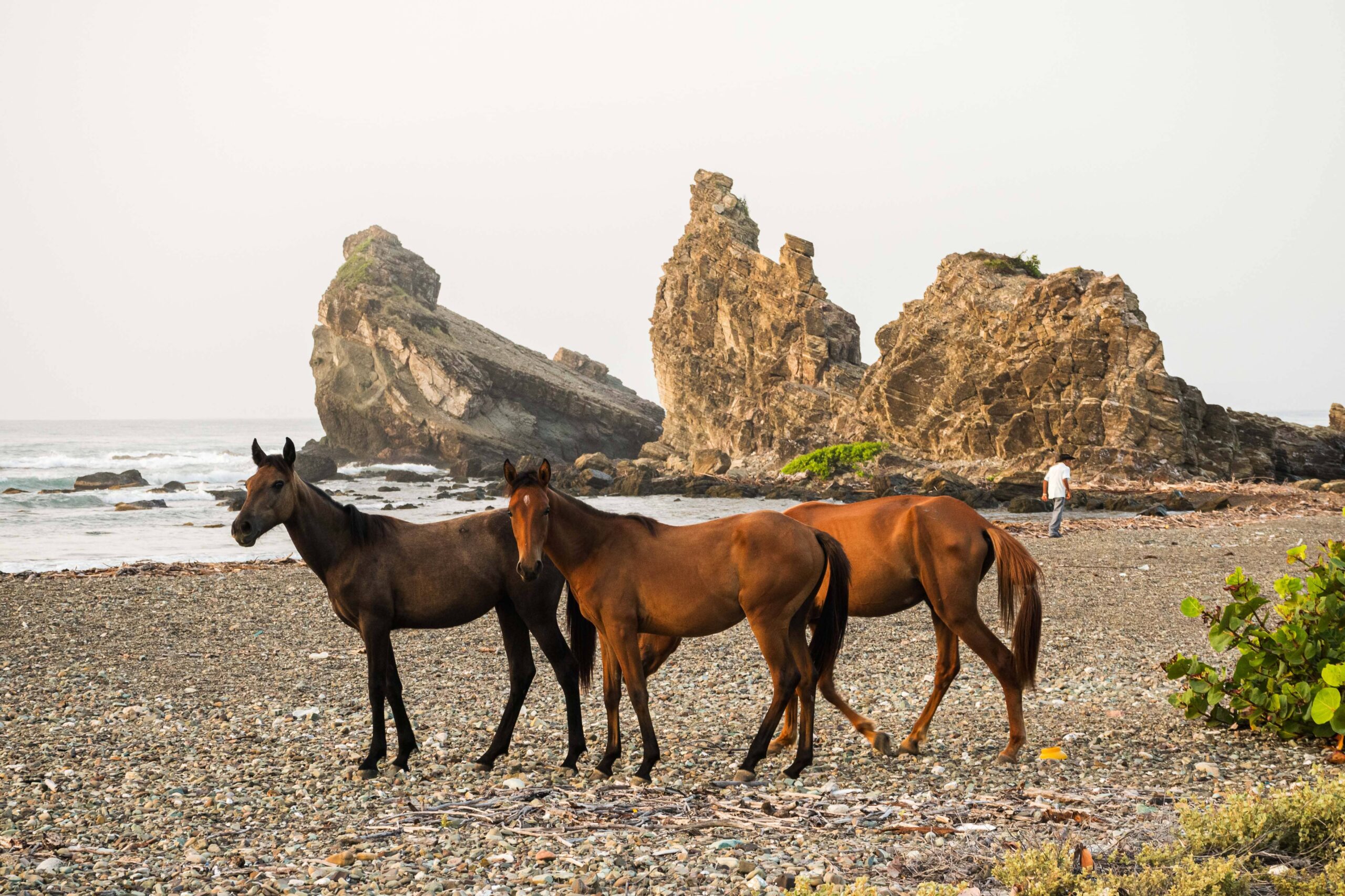 On the coast of Granma. Photo: David Estrada.