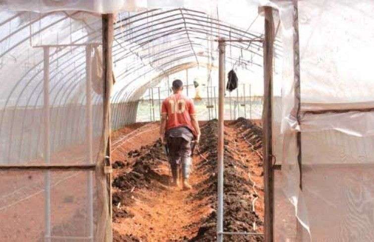 Terralismo: cultivar el cambio