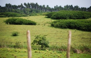 Tierras ociosas