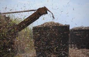 The production of sugar and other foods are representative areas of cooperation between Brazil and Cuba / Photo: Roberto Ruiz.