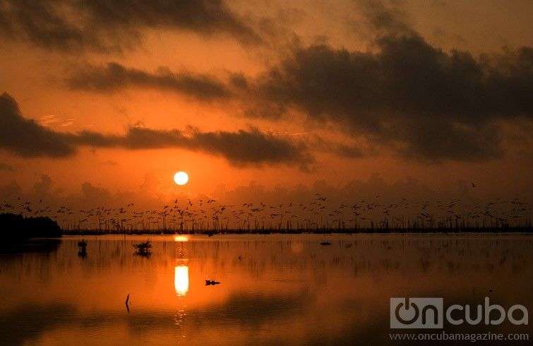 Reserva de Fauna Desembocadura del Río Máximo