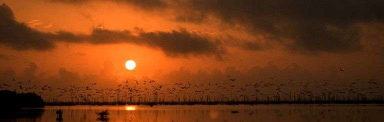 Reserva de Fauna Desembocadura del Río Máximo