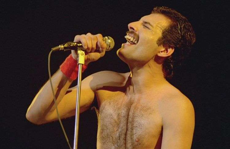 Freddie Mercury