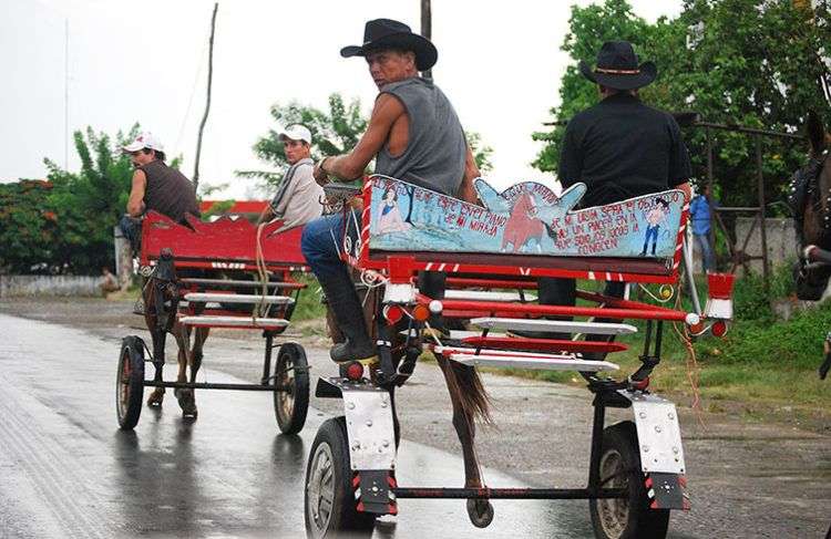 Carreras de "Arañas"