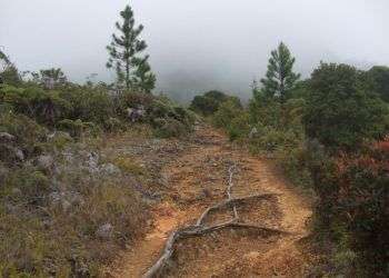 Caminos de la Sierra / Foto: Cortesía del autor