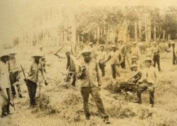 Reclutados en las Unidades Militares de Apoyo a la Producción. Foto: Cortesía del CCRD