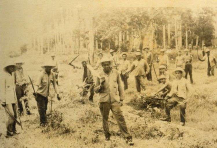 Reclutados en las Unidades Militares de Apoyo a la Producción. Foto: Cortesía del CCRD