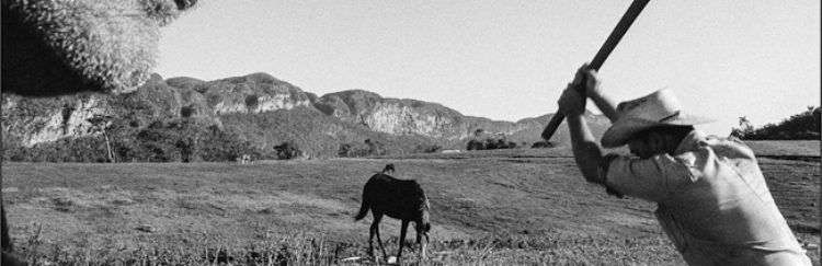 Carboneros en Viñales. Foto: Raúl Cañibano