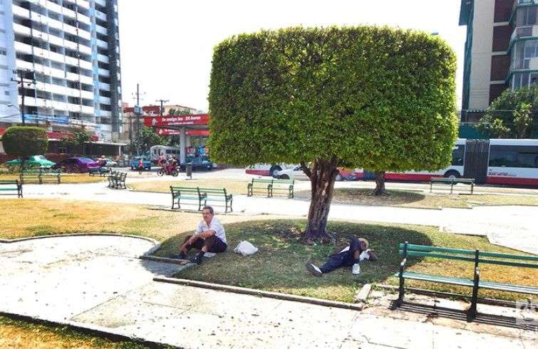 Foto: Alejandro Ulloa García