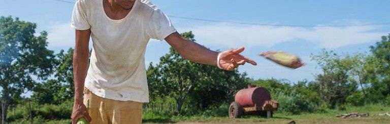 A pesar de los problemas con su agricultura, Cuba esté entre los países con menos personas subalimentadas en la región. Foto: Leandro A. Pérez Pérez.