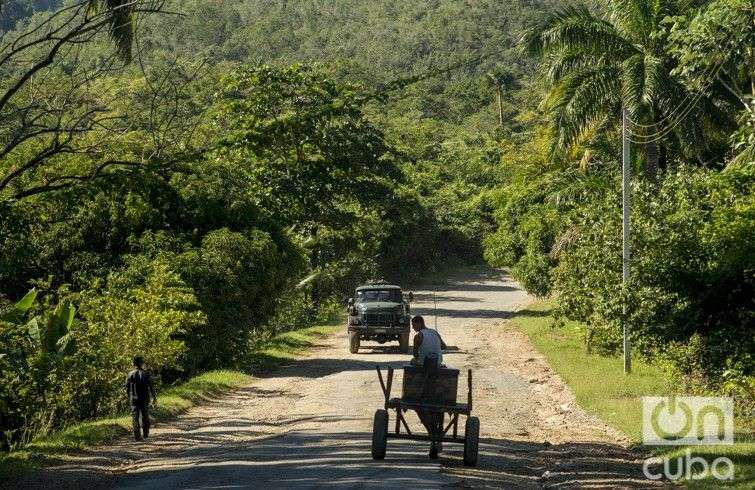 Foto: Alain L. Gutiérrez Almeida