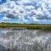 Everglades, durante el dominio españo llamado Cañaveral de la Florida. Foto: Sergio Cabrera.