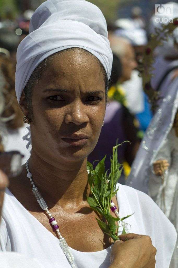 "Las hierbas son las que sanan a uno”. Foto: Yaniel Tolentino.