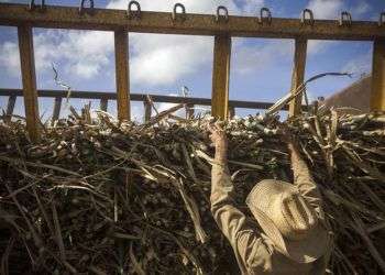 Foto: Fernando Medina / Cubahora.