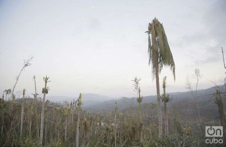 Baracoa después de Matthew, octubre de 2016. Foto: Denise Guerra.