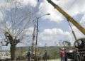 Linieros trabajan en el puente del río Miel en Baracoa. Foto: Denise Guerra