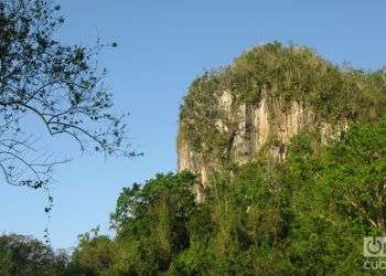 Mil Cumbres, Pinar del Río. Foto: Yoe Suárez.