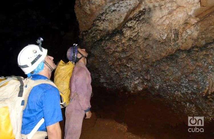 El sistema Palmarito tiene lugares a los que el hombre todavía no ha llegado. Foto: Ronald Suárez Rivas.