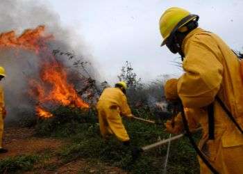 El período enero-mayo es el más propicio para los incendios forestales en Cuba. Foto: Agustín Borrego / Trabajadores.